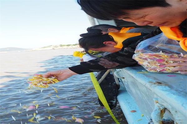 海葬和樹葬哪個便宜點