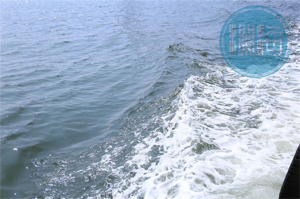 無錫骨灰海葬全部費用大概多少錢